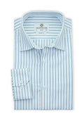 Principle | Blue Lining Shirt | Smart Fit