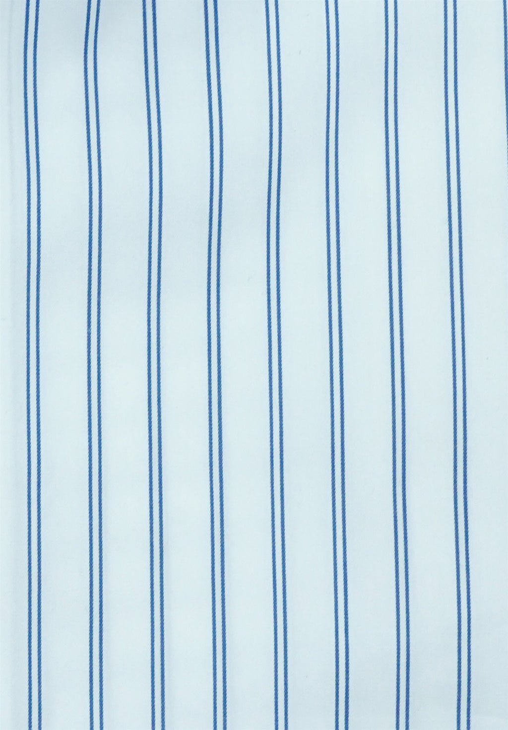 Principle | Blue Lining Shirt | Smart Fit
