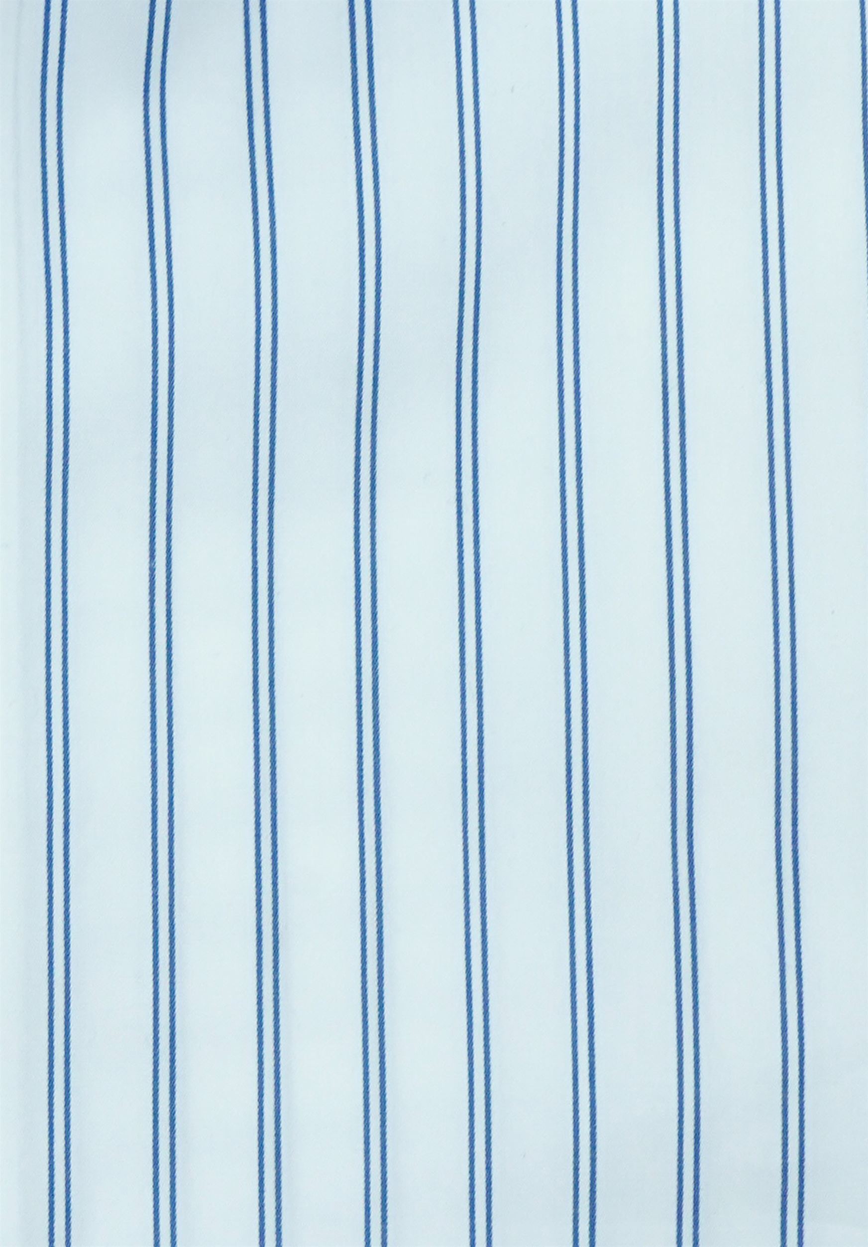 Principle | Blue Lining Shirt | Smart Fit